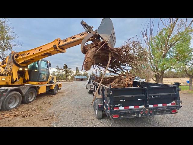 My new excavator DESTROYS tree stump!