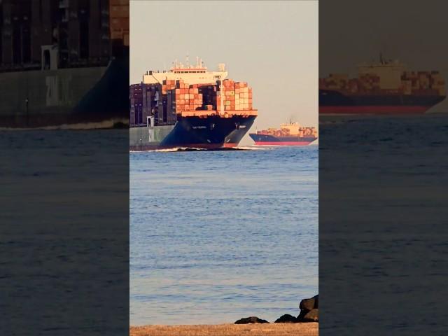 SUNSET SHOOTING #giant #containership #HUGE #amazing #awesome #ship