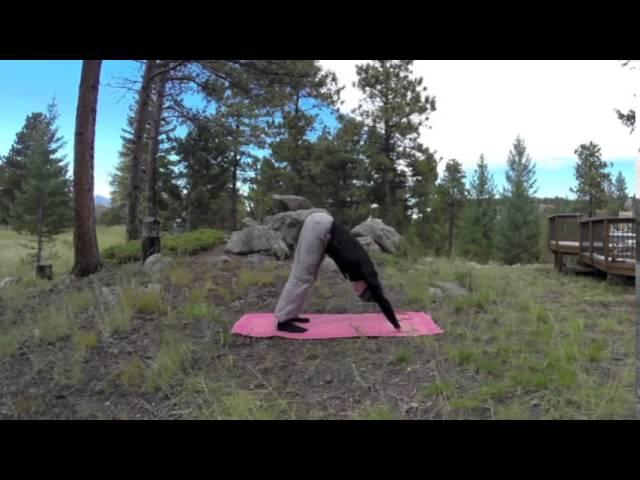 Morning Yoga for Beginners   12 min Stretch Routine