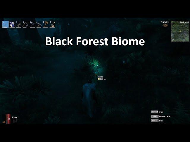 Biome Breakdown: Black Forest - Things You Need to Know About The Second Biome