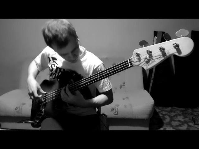 RHCP - So Much I - bass cover