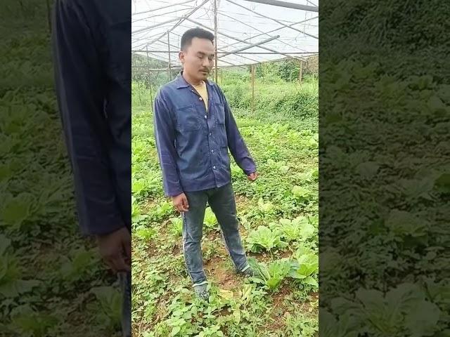 Bimal Gharti agriculture Worker