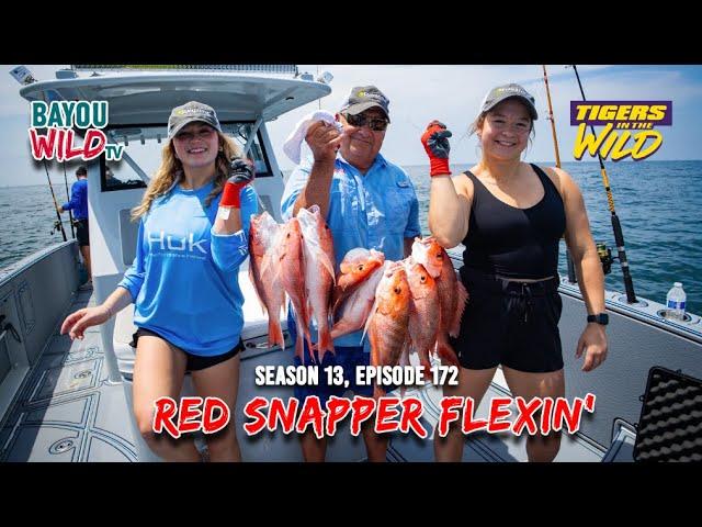 Bayou Wild [ep172] RED SNAPPER FLEXIN' | Tigers in the Wild | Season 13 Full Episodes