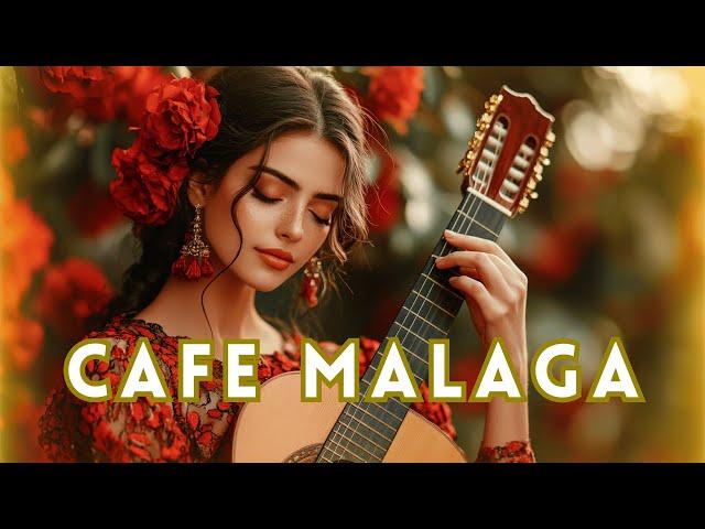  Café Málaga: Flamenco Guitar Instrumentals & Spanish Background Music  | Romantic Flamenco Vibes
