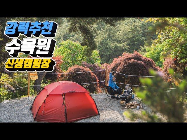 무려 4만평! 꼭 가봐야할 신생 숲속 캠핑장 | 서울 1시간 거리! |  용인 파이브이모션캠핑장