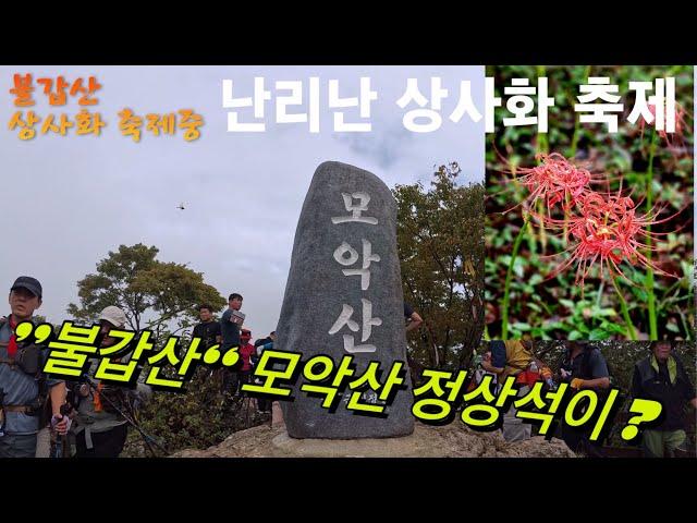 전남영광 불갑산 상사화축제/용천사-구수재-불갑산연실봉 -노루목-장군봉-불갑사호랑이-불갑사-덕고개