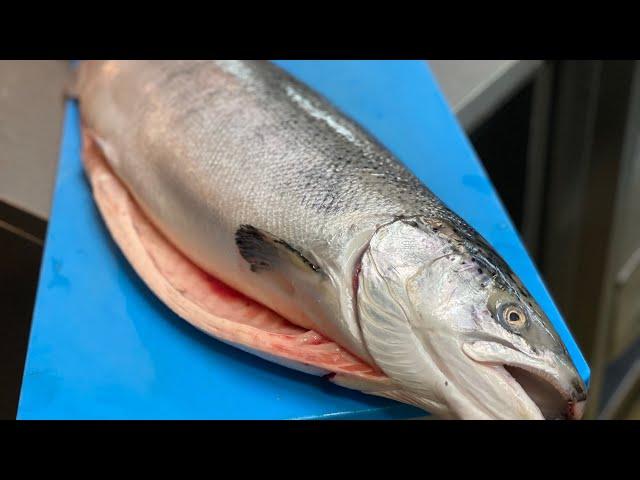 연어 오로시 Salmon Cutting Skill