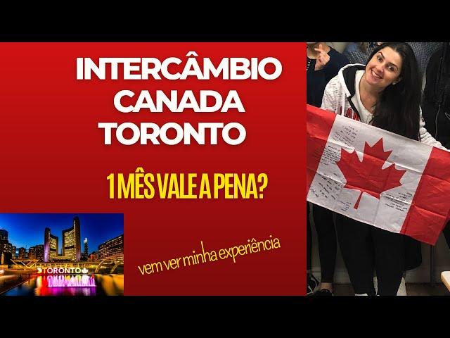 Intercâmbio 1 mês no Canadá | Toronto vale a pena? #toronto #intercambio