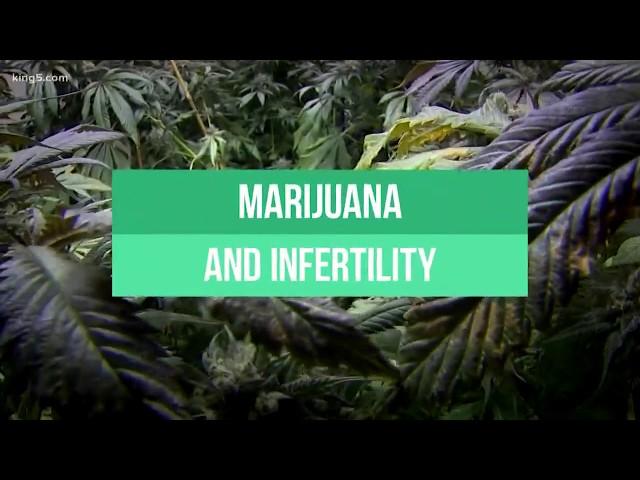 Marijuana and fertility