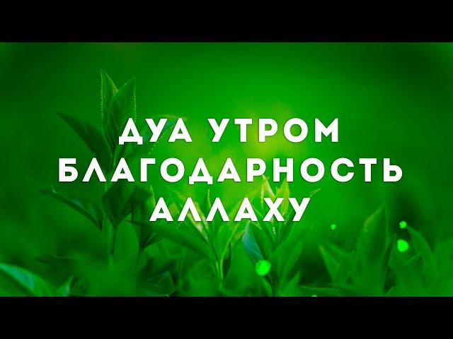 Дуа Утром Благодарность Аллаху - ОЧЕНЬ МНОГО ПОЛЬЗЫ СЛУШАЙТЕ ЭТО ДУА УТРОМ