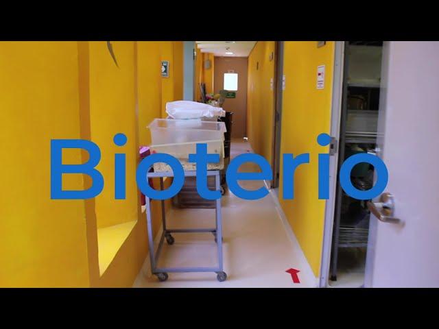 Bioterio, Facultad de Ciencias UNAM