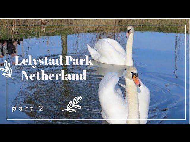 Lelystad Park Netherlands - part 2 --- Нидерланды  Природный парк Лелистад Часть 2