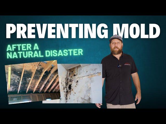 How to Prevent or Mitigate Mold after a Natural Disaster #Hurricane Cleanup Tips