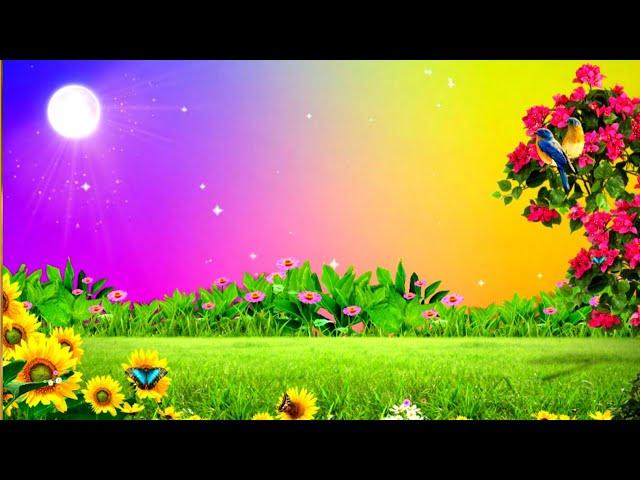 No copyright music | nature background - copyright free | no copyright - nature video for youtube