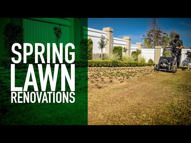 How to Undertake a Lawn Renovation | Buffalo, Zoysia & Couch