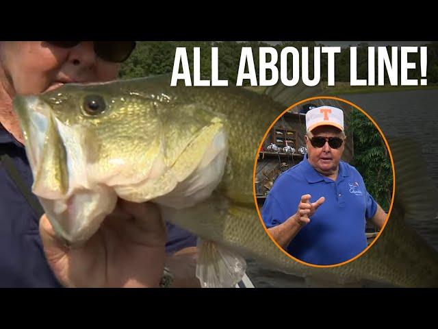 All About Line