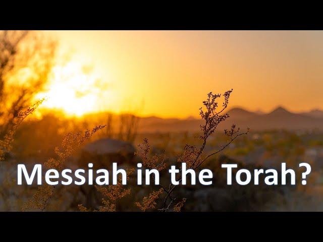 Messiah in the Torah?