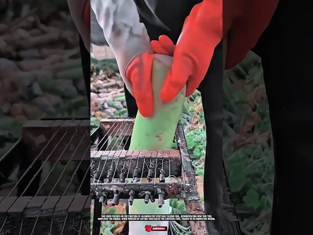 Feed Preparation Tool: Innovative Vegetable Slicing Tool for Livestock