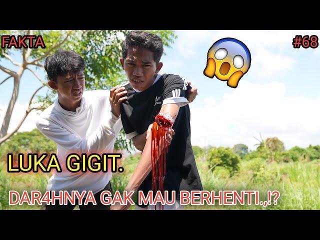 FAKTA part 68 | Mikael Family