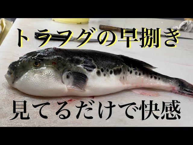 ふぐ#さばき方 #魚 #ふぐ