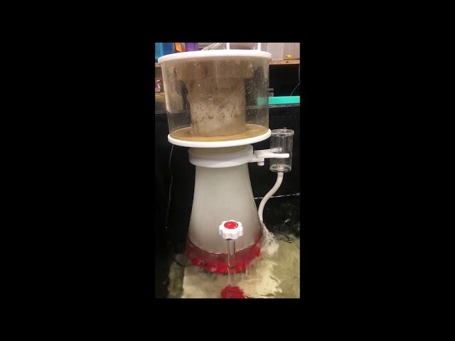 Vastocean Protein Skimmer