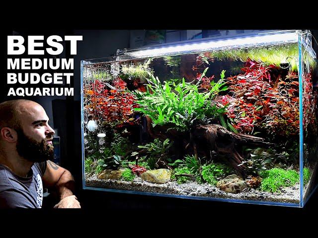 HUGE IMPACT! - Medium Budget Aquarium (Aquascape Tutorial)