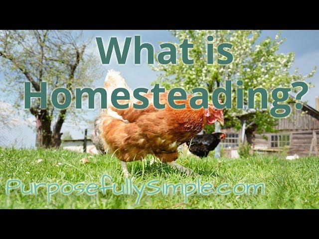 What Is Homesteading!?