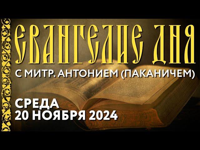 Толкование Евангелия с митр. Антонием (Паканичем). Среда, 20 ноября 2024 года.