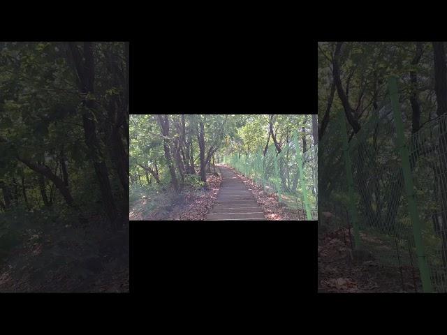 서울 둘레길 #mountains #hiking #travel #trekking #등산