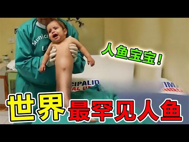 手机意外拍下“最罕见”的10大美人鱼画面，彻底震惊世界，科学家也无法解释来源#世界之最 #世界之最top #科普 #动物 #animals #top10 #地球之最 #寵物 #美人鱼