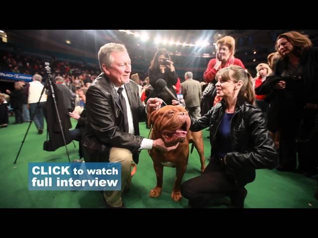 Interviews with the Owners | Victoria Stilwell at Westminster Dog Show