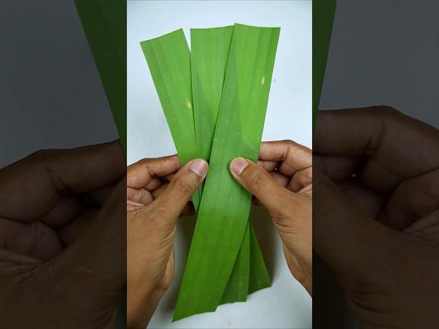 Banana leaf cup making ideas for serving your delicious treats!  #BananaLeaf #Crafts #leafcraft