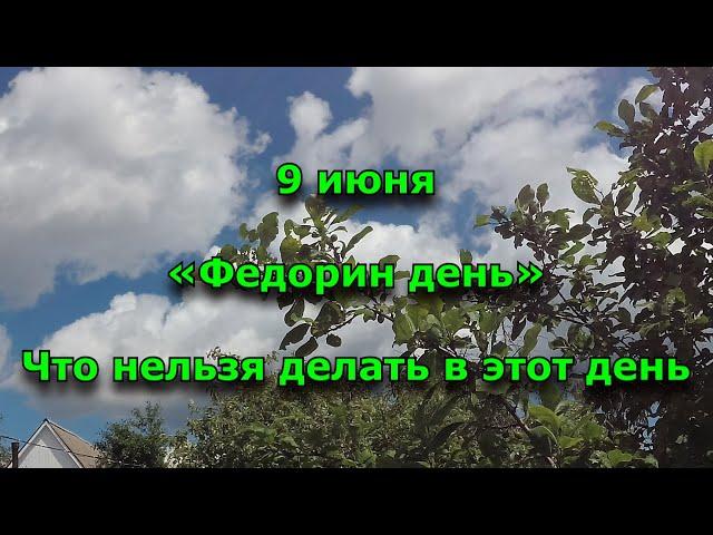 9 июня. Федорин день. Что нельзя делать сегодня.