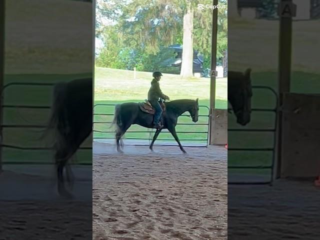 he was a little sassy today 