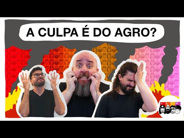 Como o AGRONEGÓCIO impacta o Brasil?