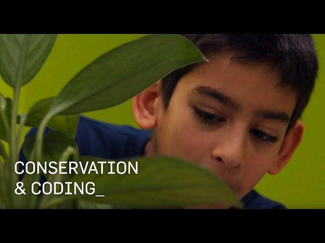 Coding and Conservation - Be Creative, Be Cool | Cypher Coders