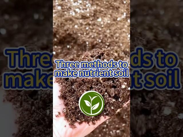 Three methods to make nutrient soil #shortvideo #garden #howto #soil #youtubeshorts #viralvideo