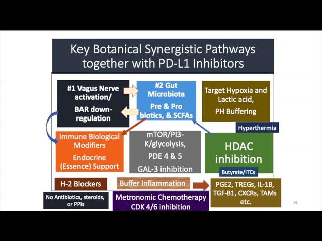 Panel discussion of Botanicals and Immunotherapy in Cancer Therapeutics