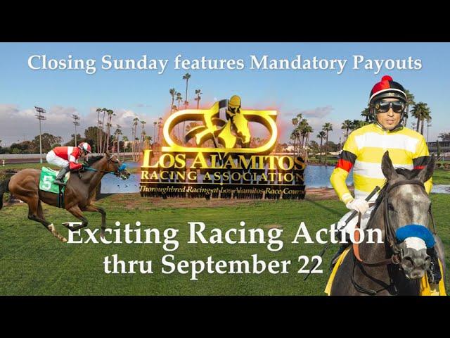 September Thoroughbred Meet - Closing Weekend 2024