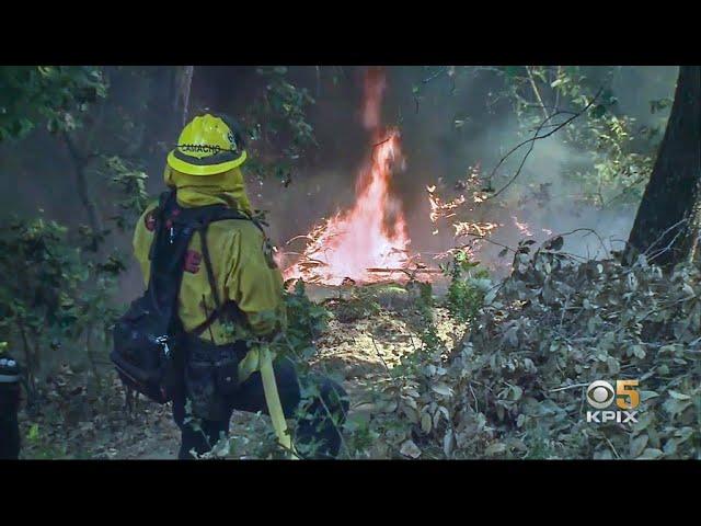 Firefighters Battling CZU Lightning Complex Hampered by Residents Who Won't Evacuate