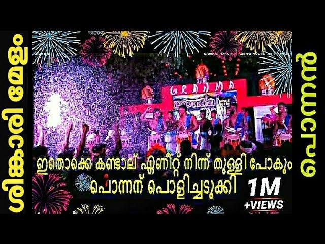 ഇതൊക്കെ കണ്ടാല്‍ പിന്നെ എണീറ്റ്‌ നിന്ന് തുള്ളി പോകും നല്ല കിടിലന്‍ ശിങ്കാരി മേളംPonnan SINGARI MELAM