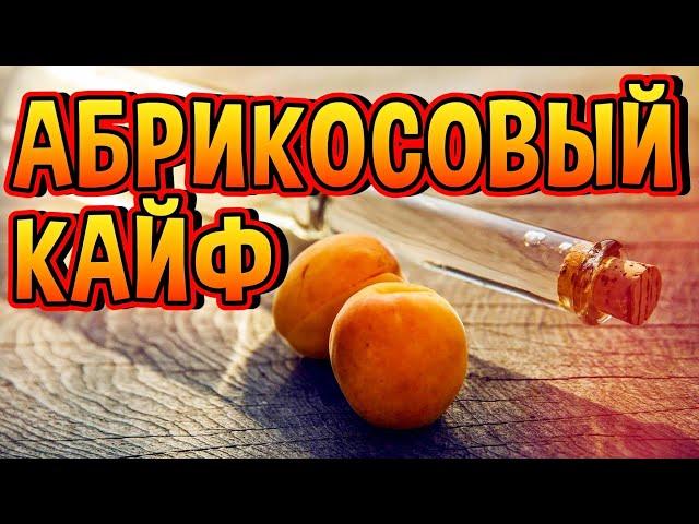 ШИКАРНЫЙ АБРИКОСОВЫЙ БРЕНДИ #мужскоехобби #самогон #бренди #обзор #домашнийвиски