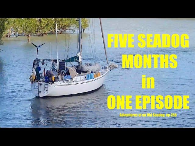 FIVE SEADOG MONTHS IN ONE EPISODE