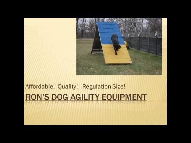 Ron'sDogAgility.wmv