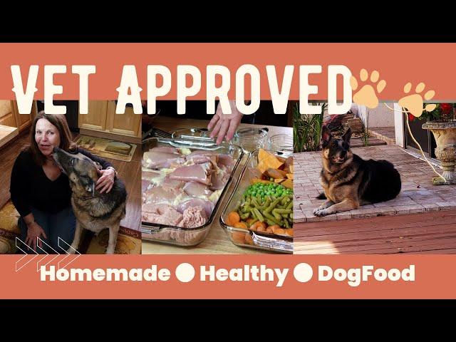 "Create an Unbelievably Healthy Dog Food Recipe - Vet Approved!"