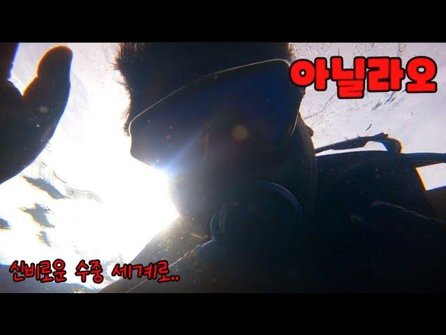  아닐라오 수중 세계로 떠나요. GAG DIVERs SCUBA TEAM.