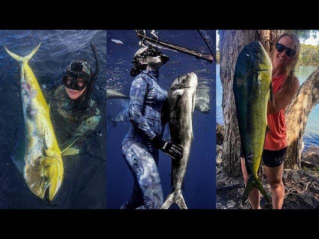 Spearfishing Dorado - Mahi Mahi Madness - (Underwater Ally Adventures) Ep.24