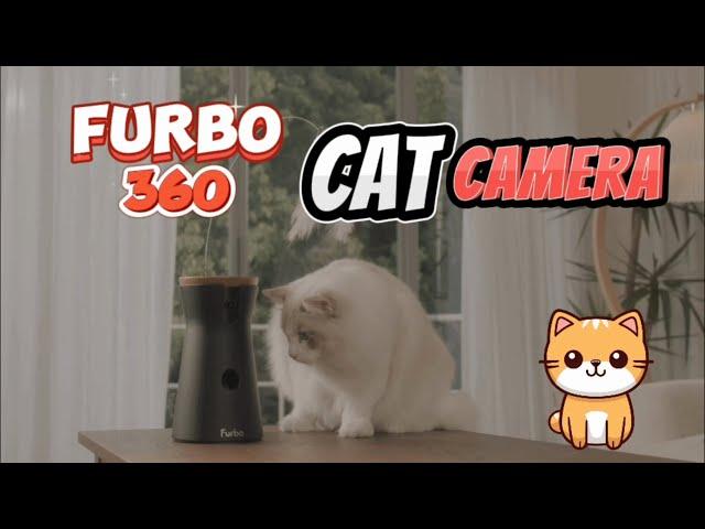 Furbo 360° Cat Camera Review: Best Indoor Security Camera for Pets?