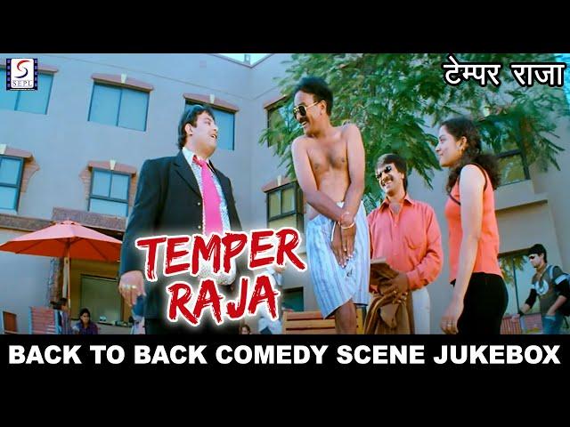 टेम्पर राजा -Temper Raja | Back To Back Comedy Scene Jukebox | SEPL VIDEO