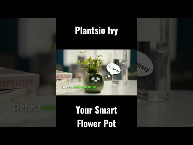 PLANTSIO Ivy - Smart Flowerpots, Endless Fu #techjunkie